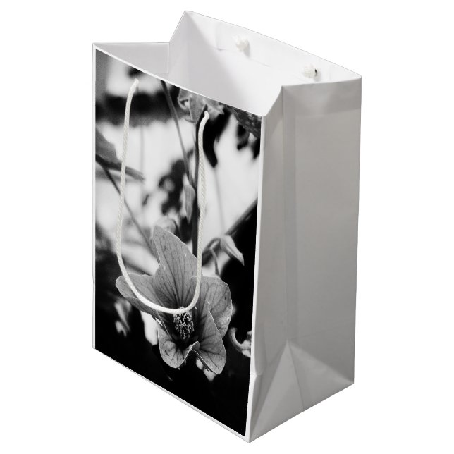 Redvein Abutilon Blume Schwarzweiß Foto Mittlere Geschenktüte (Vorderseite Schrägansicht)