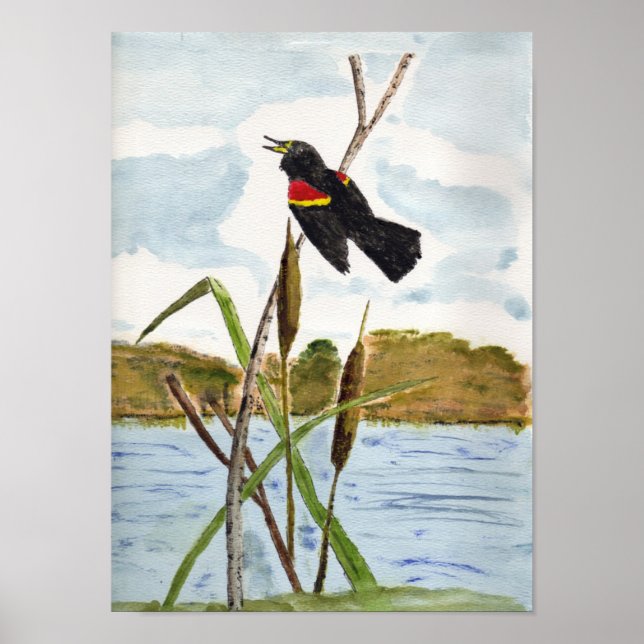 Redwing Blackbird Poster (Vorne)