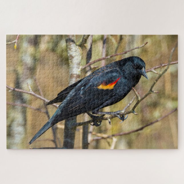 Redwing Blackbird Puzzle (Horizontal)