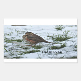 Redwing Rechteckiger Aufkleber