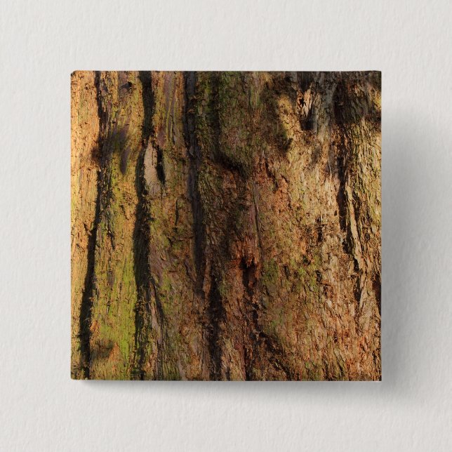Redwood Bark Foto Texture Button (Vorderseite)