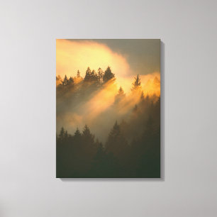 Redwood-Bäume in Küstennebel, Marin-Landkreis, Leinwanddruck