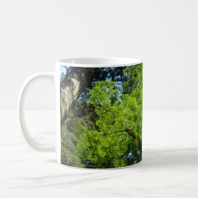 Redwood Boughs im Redwood National Park Kaffeetasse (Links)