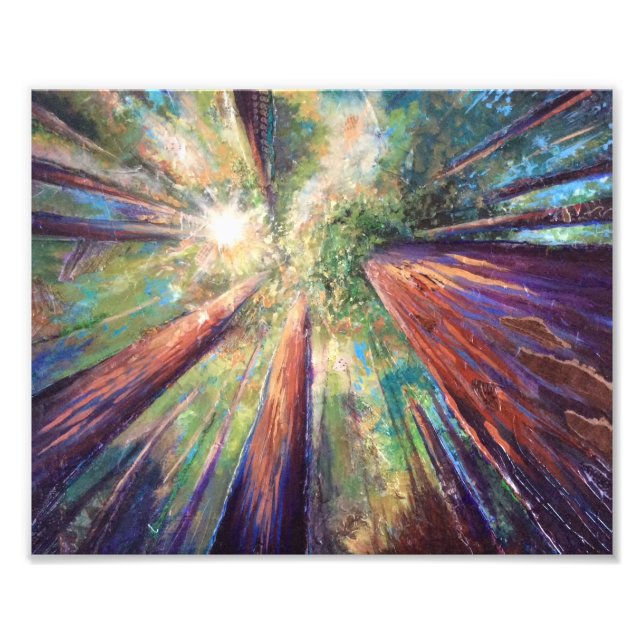 Redwood Canopy Fotodruck (Vorne)