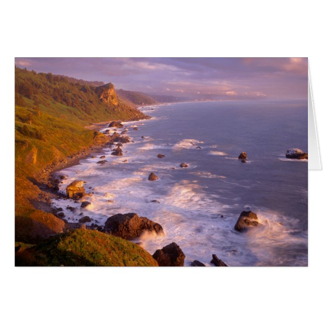 Redwood Coast, Kalifornien (Vorderseite (Horizontal))