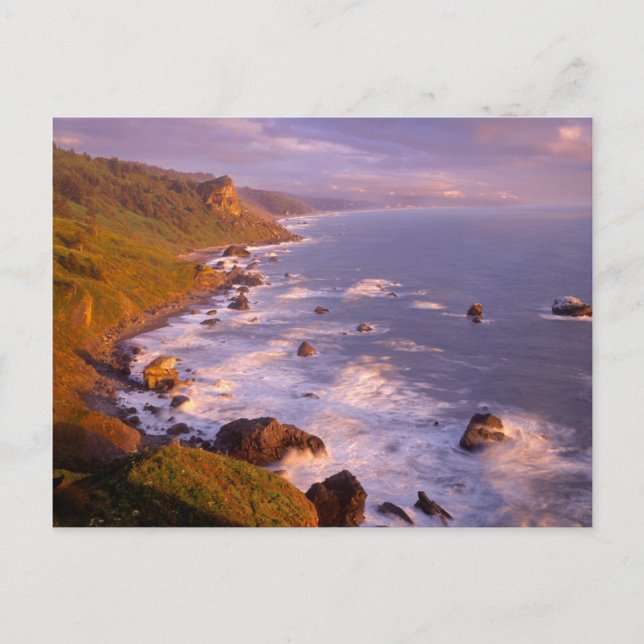 Redwood Coast, Kalifornien Postkarte (Vorderseite)