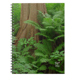 Redwood & Ferns Notebook Notizblock