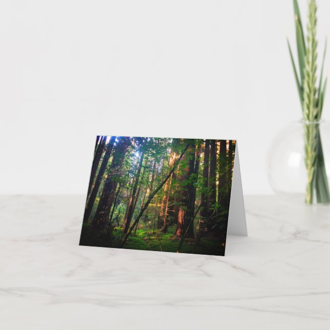 Redwood Forest Card Karte (Vorderseite)