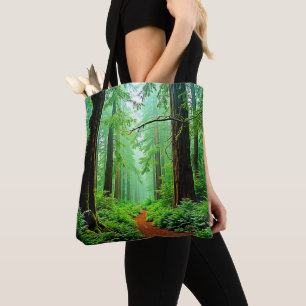 Redwood Forest Mistle Tranquility Design