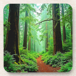 Redwood Forest Mistle Tranquility Design Getränkeuntersetzer
