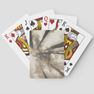 Redwood Forest, Nordkalifornien Spielkarten