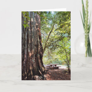Redwood Forest Note Card Dankeskarte