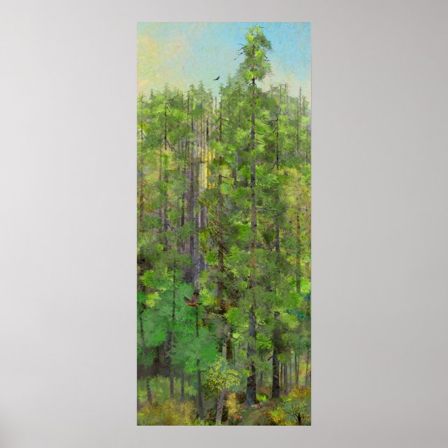 Redwood Forest Poster (Vorne)