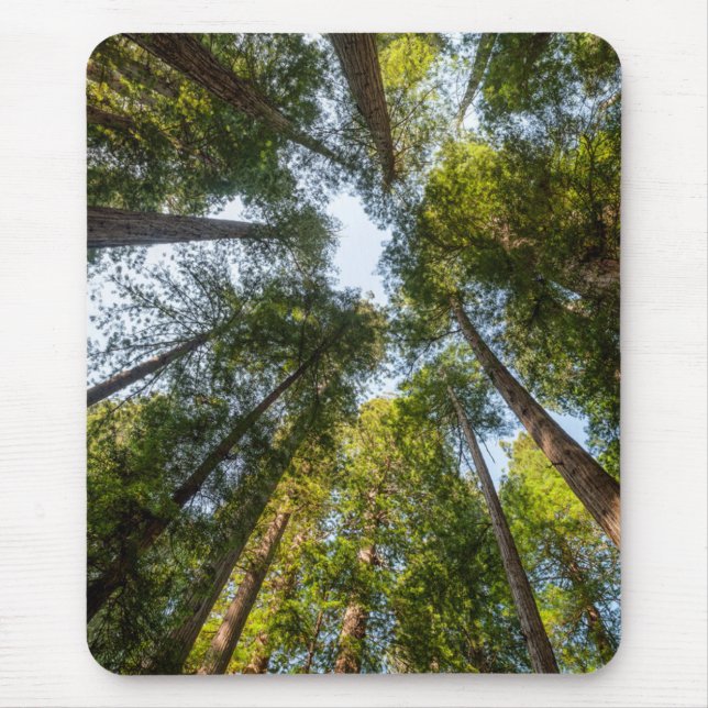 Redwood National and Staat Parks, Kalifornien Mousepad (Vorne)