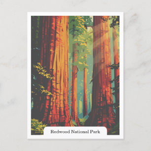 Redwood National and Staat Parks, Kalifornien, USA Postkarte