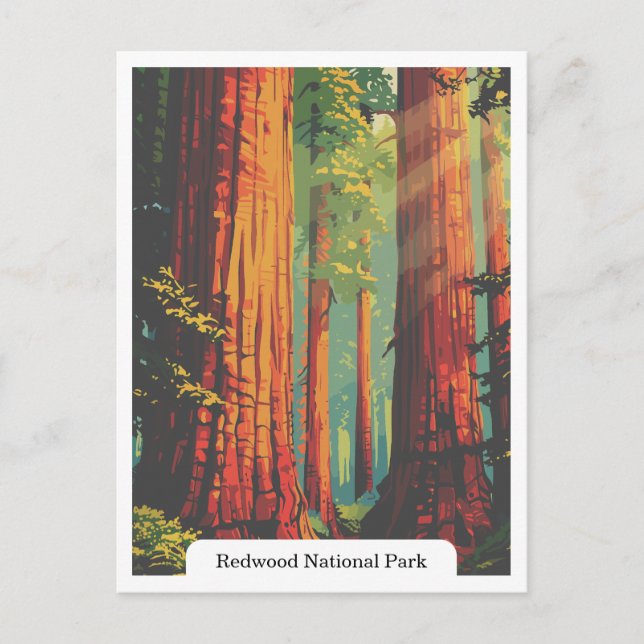 Redwood National and Staat Parks, Kalifornien, USA Postkarte (Vorderseite)