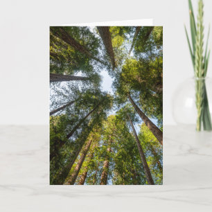 Redwood National and State Parks, Kalifornien Karte