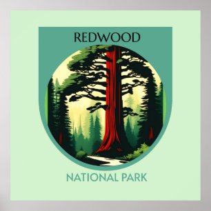 Redwood National Park Beauty Poster