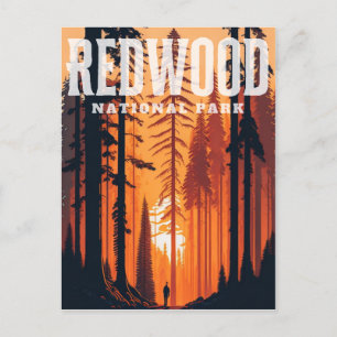 Redwood National Park, CA Postcard Postkarte