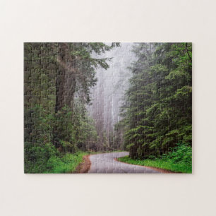 Redwood National Park California Foto Puzzle