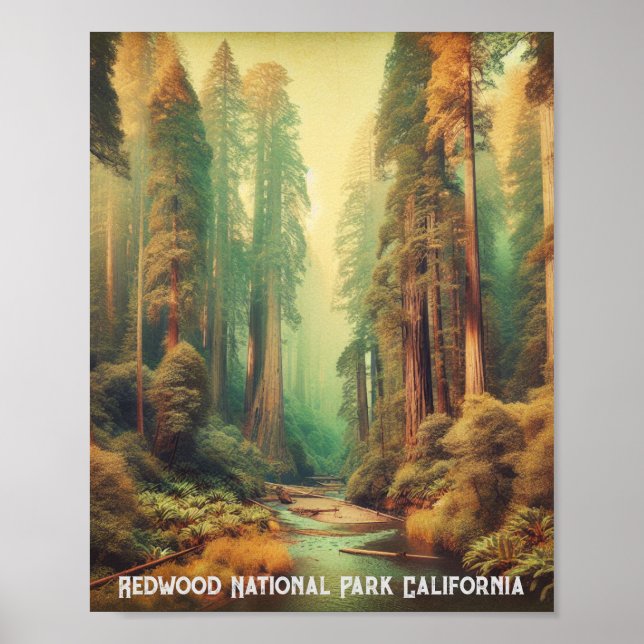 Redwood National Park California Poster (Vorne)