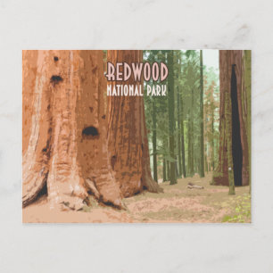 Redwood National Park California Postkarte