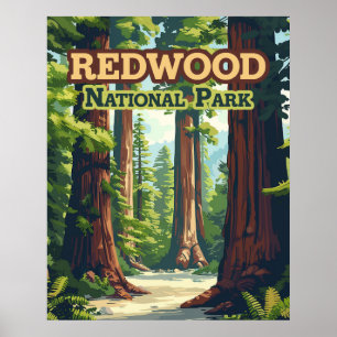 Redwood National Park California Tree Retro Poster