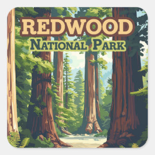 Redwood National Park California Tree Retro Quadratischer Aufkleber
