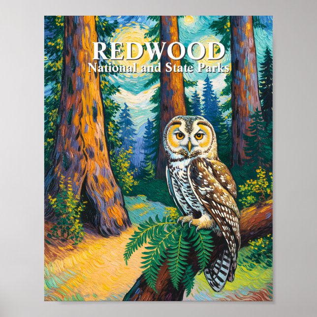 Redwood National Park Forest Owl Van Gogh Style Poster (Vorne)