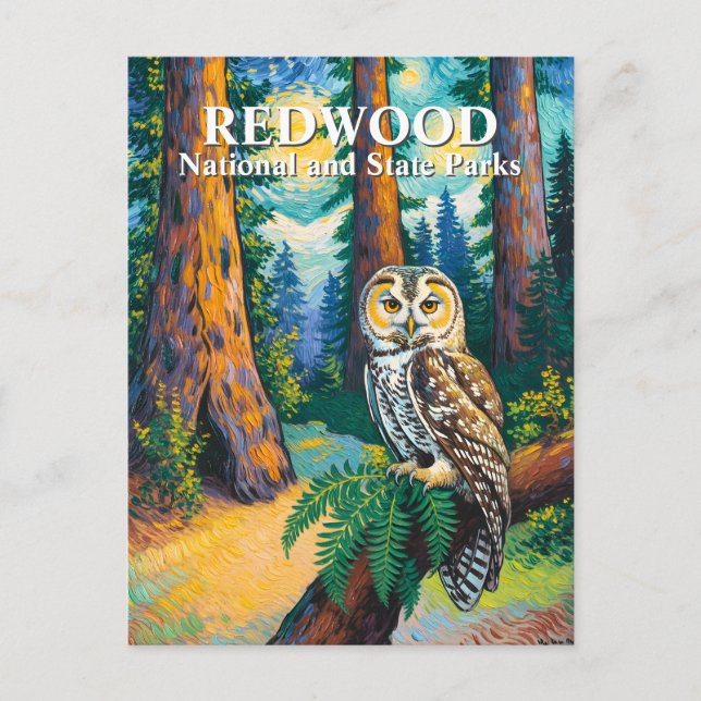 Redwood National Park Forest Owl Van Gogh Style Postkarte (Vorderseite)