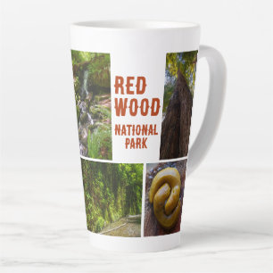 Redwood National Park Foto Milchtasse