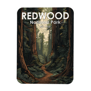 Redwood National Park Illustration Trail Vintag Magnet