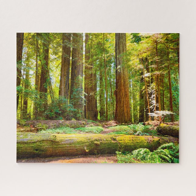 Redwood National Park in Kalifornien Puzzle (Horizontal)