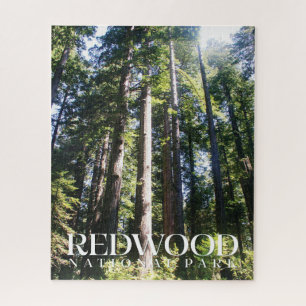 Redwood National Park JigsawPuzzle Puzzle
