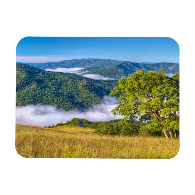 Redwood National Park, Kalifornien Magnet (Horizontal)
