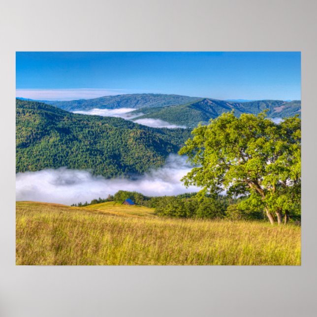 Redwood National Park, Kalifornien Poster (Vorne)