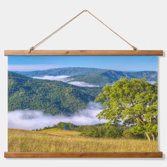 Redwood National Park, Kalifornien Wandteppich Mit Holzrahmen (Vorne)