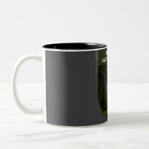 Redwood National Park - Kalifornien Zweifarbige Tasse