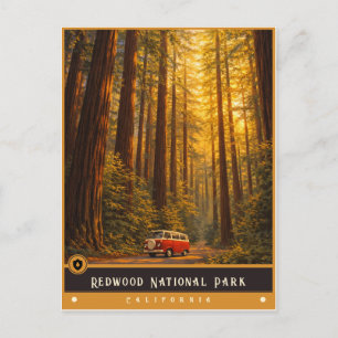 Redwood National Park   Vintage Postkarte