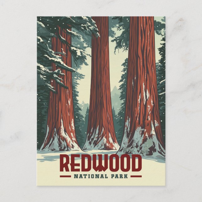 Redwood National Park - Vintages Kalifornien Postkarte (Vorderseite)