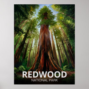 Redwood National Staat Park, Küste Kalifornien Poster