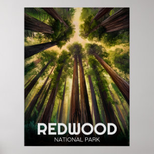 Redwood National Staat Park, Küste Kalifornien Poster
