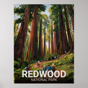 Redwood National Staat Park, Küste Kalifornien Poster