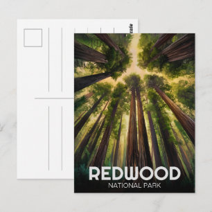 Redwood National Staat Park, Küste Kalifornien Postkarte