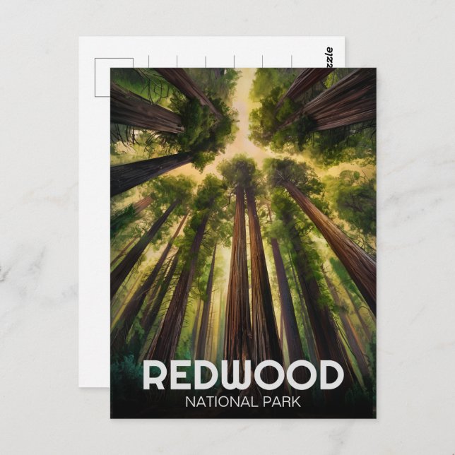 Redwood National Staat Park, Küste Kalifornien Postkarte (Vorne/Hinten)