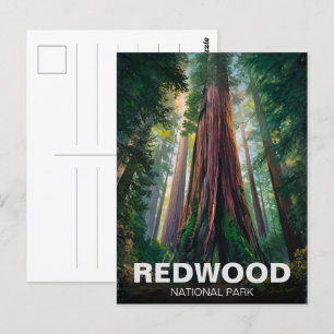 Redwood National Staat Park, Küste Kalifornien Postkarte