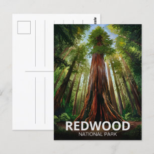 Redwood National Staat Park, Küste Kalifornien Postkarte