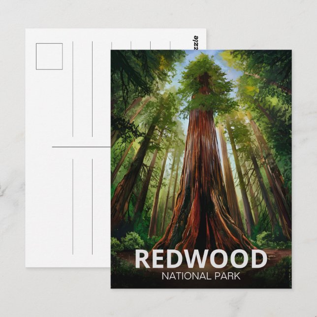 Redwood National Staat Park, Küste Kalifornien Postkarte (Vorne/Hinten)