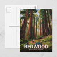 Redwood National Staat Park, Küste Kalifornien