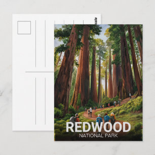 Redwood National Staat Park, Küste Kalifornien Postkarte